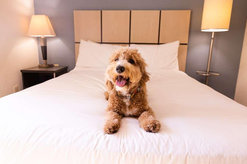 Sonesta Simply Suites Cleveland North Olmsted Airport Luaran gambar